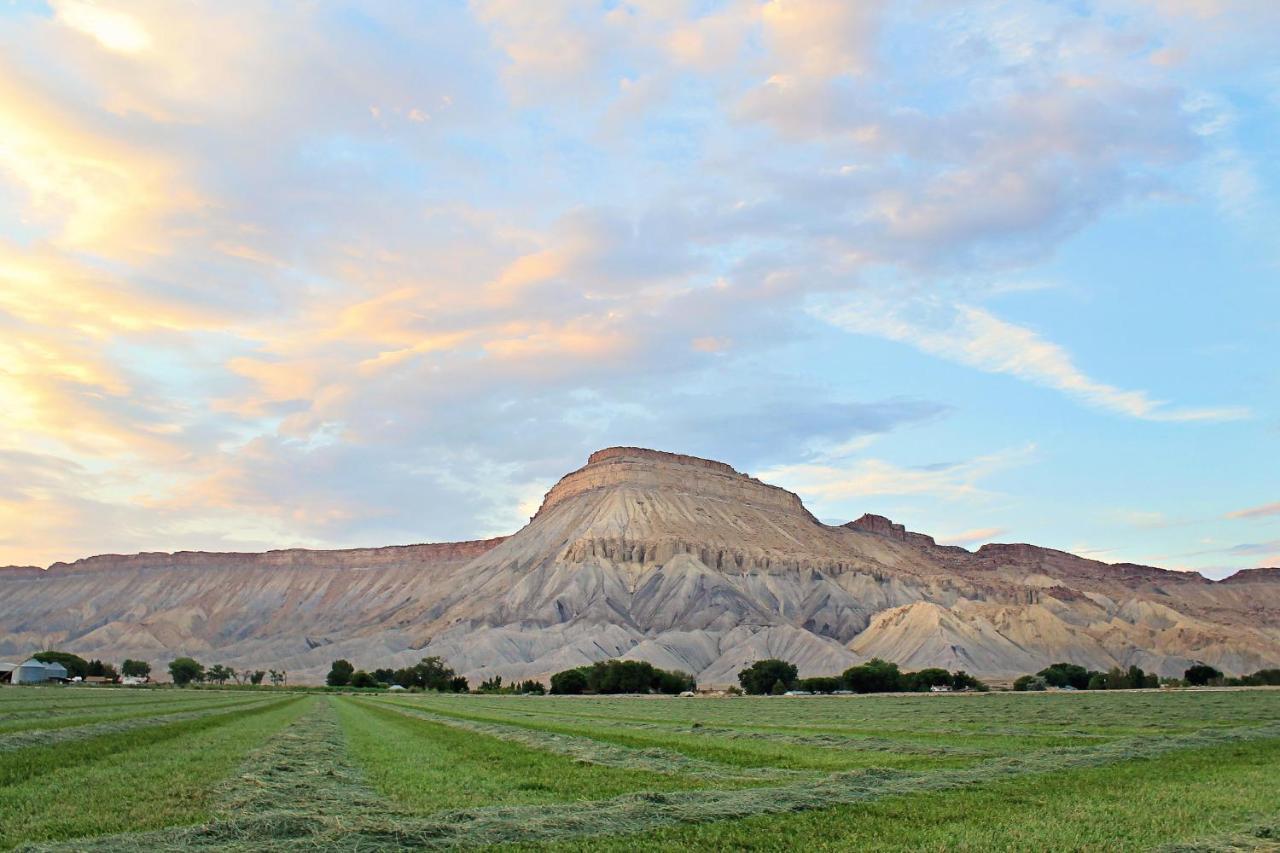 Holiday Inn Express Hotel & Suites Grand Junction By Ihg Exterior foto